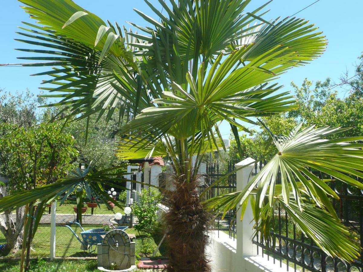 Kallilkratia Holiday Flat 2 Nea Kallikrateia Екстер'єр фото
